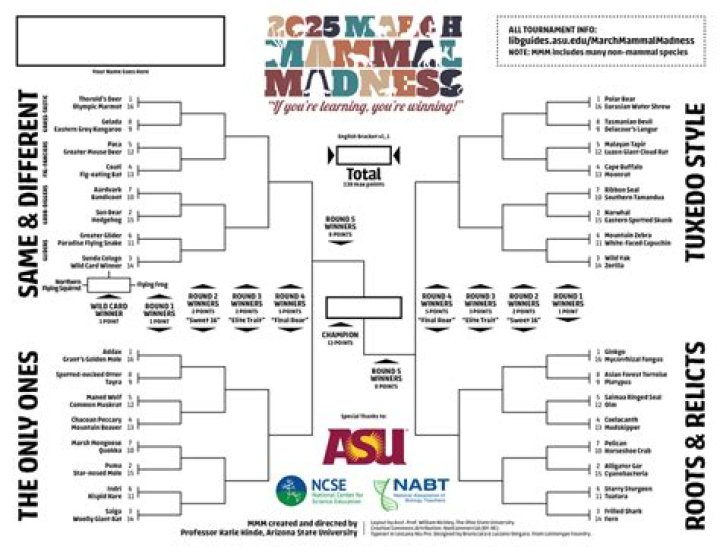 2025 March Madness: Auburn Leads the Charge as the Top Seed