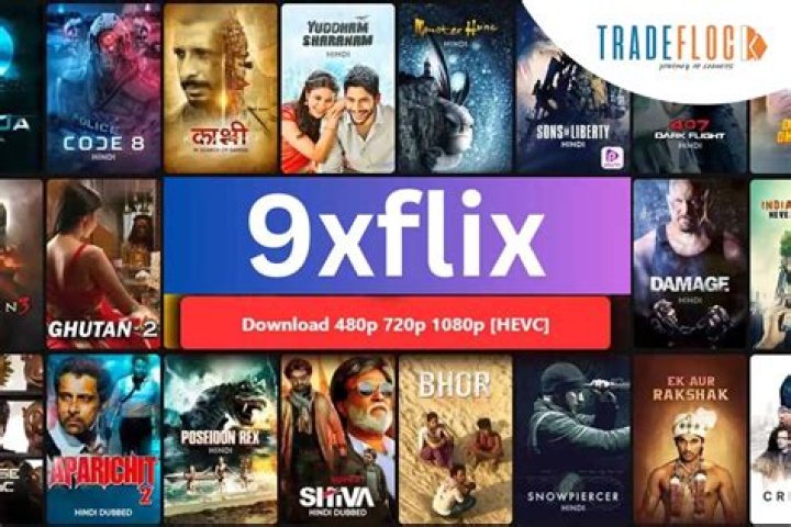 9X Movies Hub: Your Ultimate Destination for Latest Movie Downloads