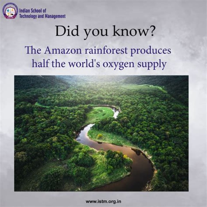 Amazing Facts about manehas.net - Explore Now