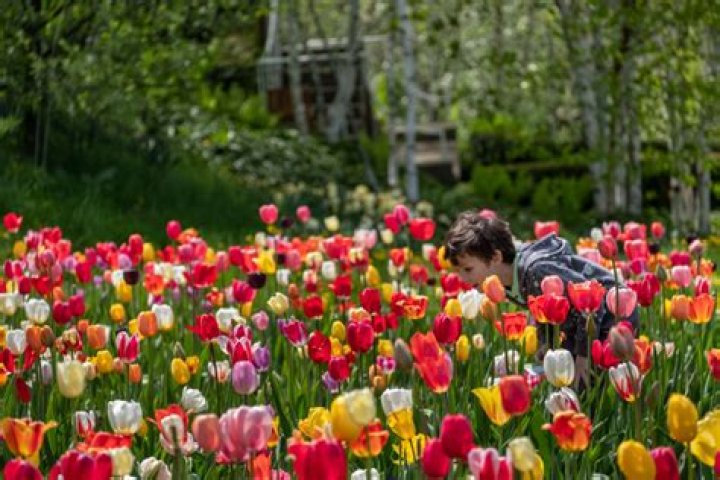 Berkshire Botanical Garden: A Paradise for Plant Enthusiasts and Nature Lovers