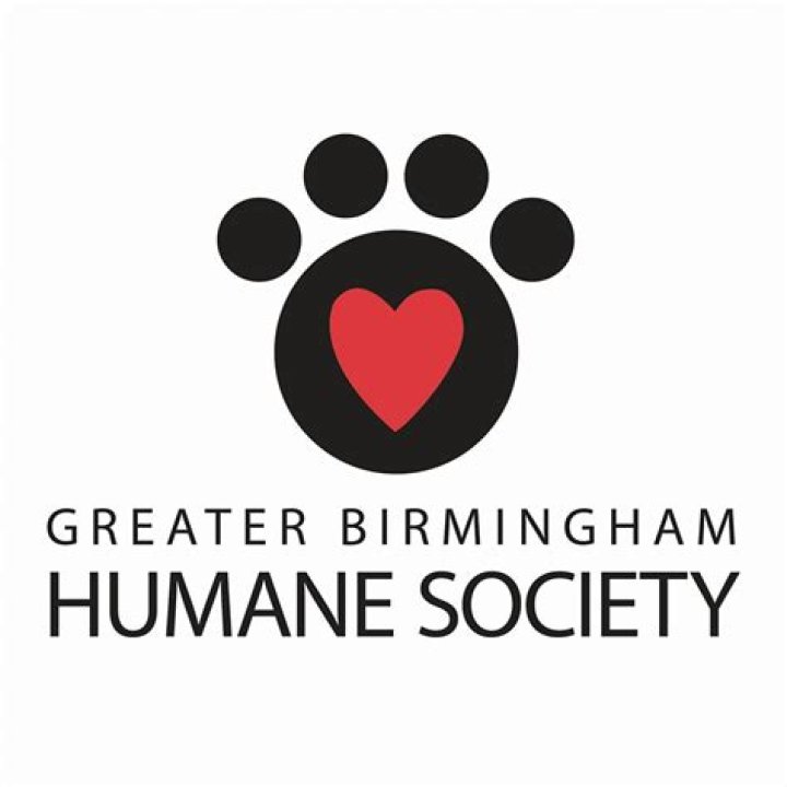 Birmingham Humane Society: A Beacon of Compassion for Animals in Need