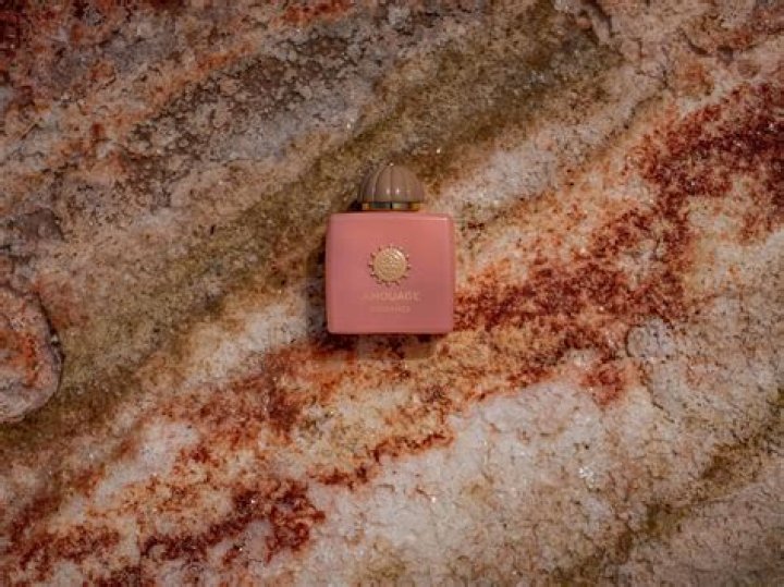 Blake and Becky: A Deep Dive Into Their Journey, Achievements, and Legacy