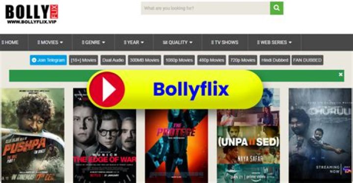 Bollyflix.baby: The Ultimate Guide to Indian Movies Online