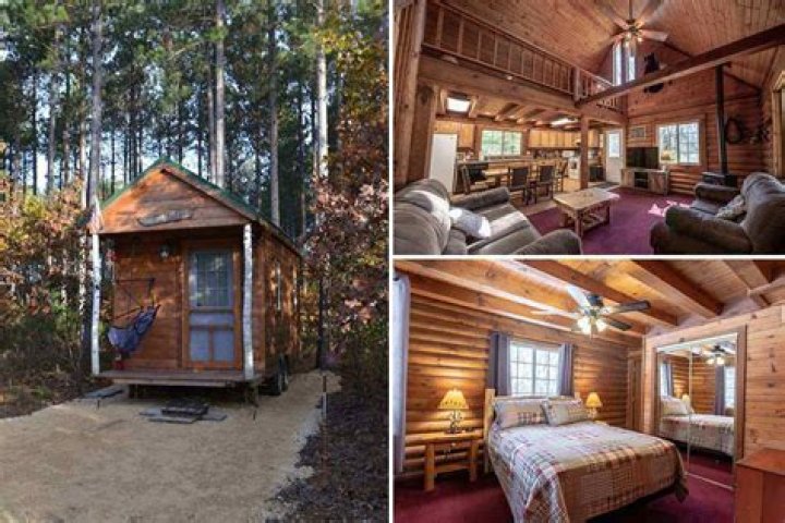 Cabins in Wisconsin Dells Wilderness: Your Ultimate Guide to Nature and Comfort