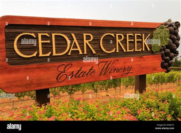 Cedar Creek Winery: A Premier Destination for Wine Enthusiasts