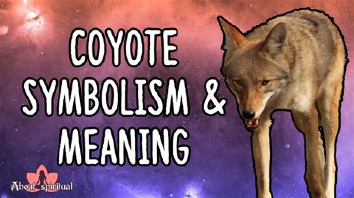 Coyote Symbolism and Meaning: The Wild Trickster