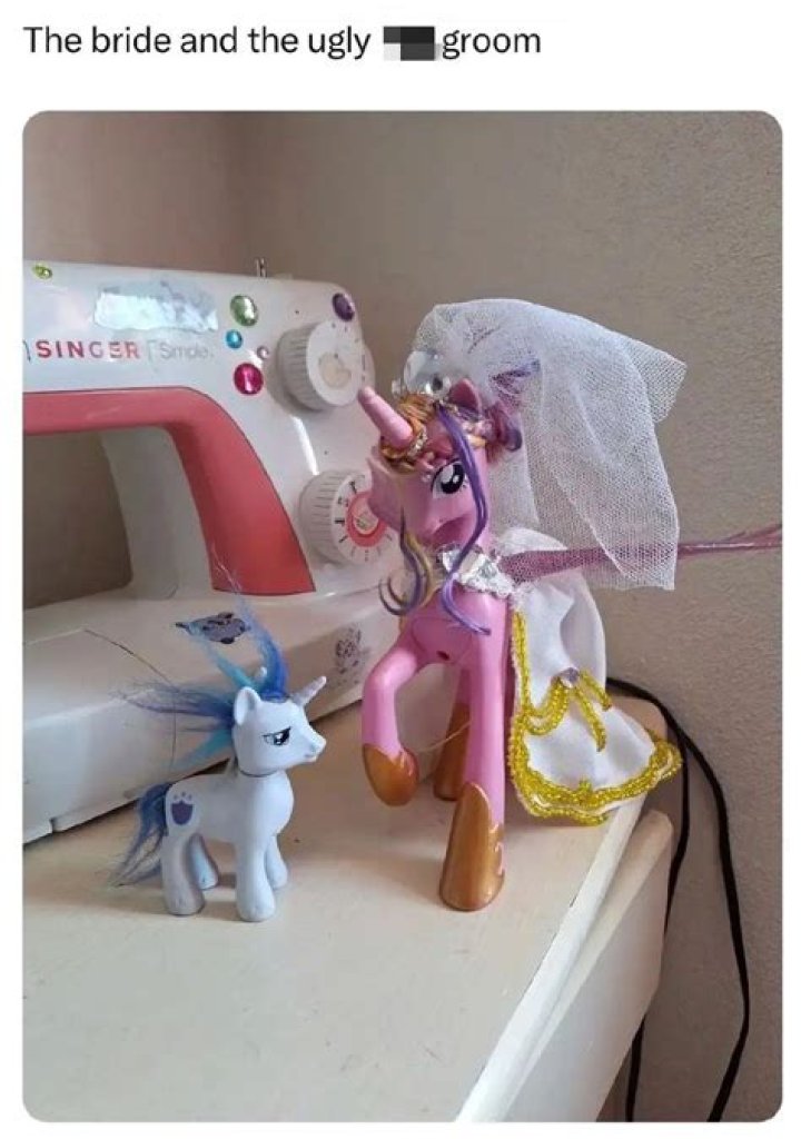 Coyote Ugly: A Journey Through the Lives and Careers of Its Stars