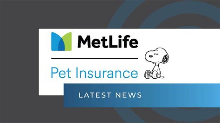 Discover the Best MetLife Insurance Solutions Tailored to Your Needs