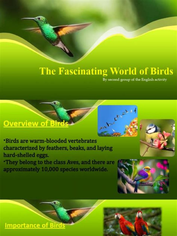 Discover the Fascinating World of Dewey: A Cultural Icon in Television