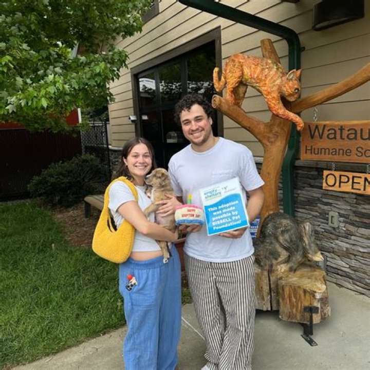 Discover the Heart of Compassion: Watauga Humane Society