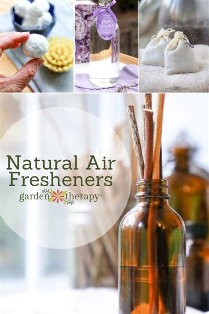 Discover the Natural Air Fresheners You Need for a Fresh Canadian Home