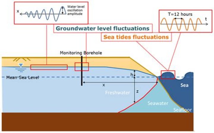 Discover the Phenomenon of Diva Flowless: A Comprehensive Guide