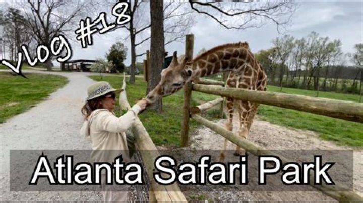 Discover the Thrills of Atlanta Safari Park