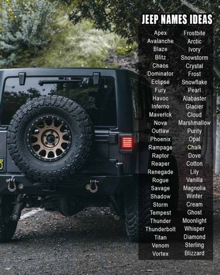 Discover Unique Jeep Names for Girls: A Comprehensive Guide