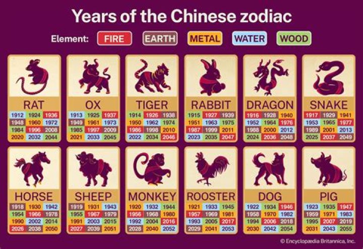 Discover Your Chinese Birth Element: Uncover the Secrets of Your Destiny