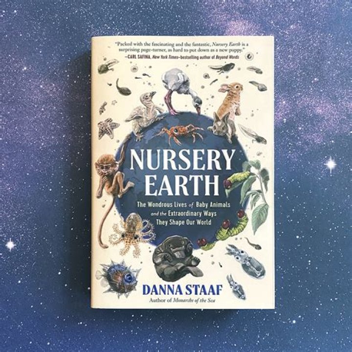 Discovering the Real Person Behind Blippi: A Journey into the Life and Career of the Iconic Children's Entertainer