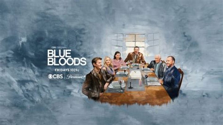 Exploring the Fascinating Character of Sabrina in Blue Bloods