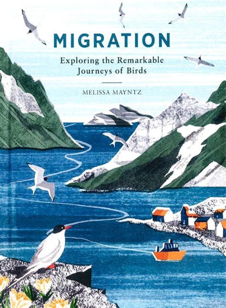 Exploring the Remarkable Career of Saoirse Ronan