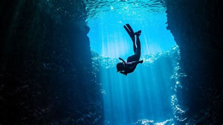 Exploring the World of Screech: A Deep Dive into the Iconic Character