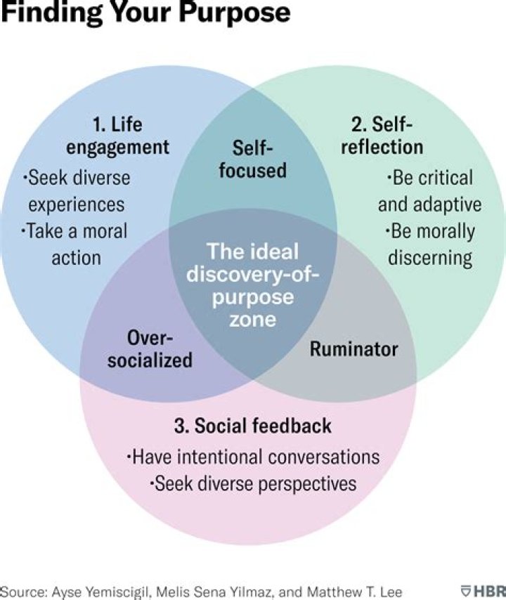 Fresh Videos: Your Ultimate Guide to Discovering Trending and Engaging Content