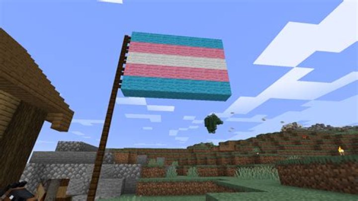 From Pride to Minecraft: Discover the Trans Flag Banner