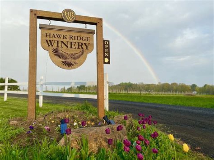 Hawk Ridge Winery: A Premier Destination for Wine Enthusiasts