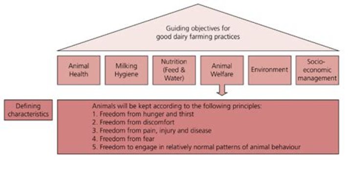 Kennedy Airport Layout: A Comprehensive Guide for Travelers