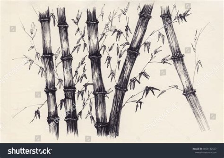 Master the Art of Bamboo Pencil Drawing: A Comprehensive Guide