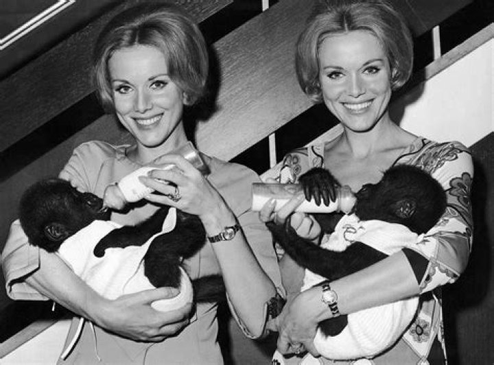 May Twins: The Fascinating Journey and Legacy of Thailand's Most Famous Twins