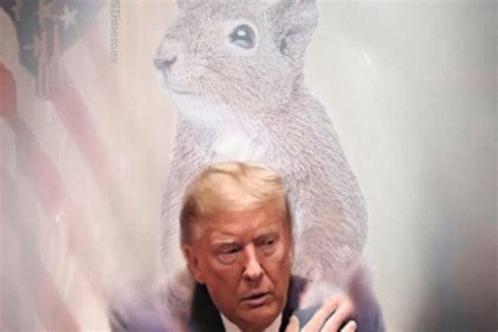 Meet Squirrel Trump: The Unlikely Animal Star of the 2020 Election