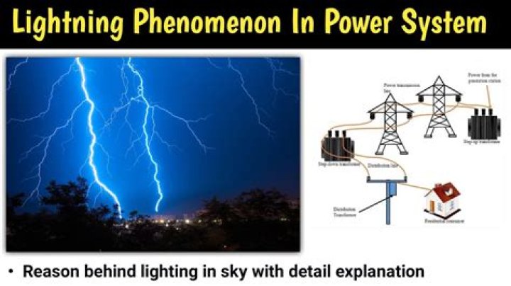 Miaz1234: Unveiling the Phenomenon and Its Impact