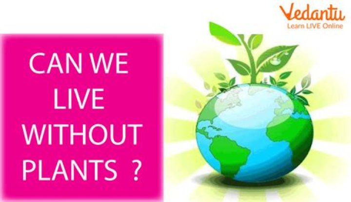 Must-Know Facts about Debra WWF: The Phenomenal Environmentalist