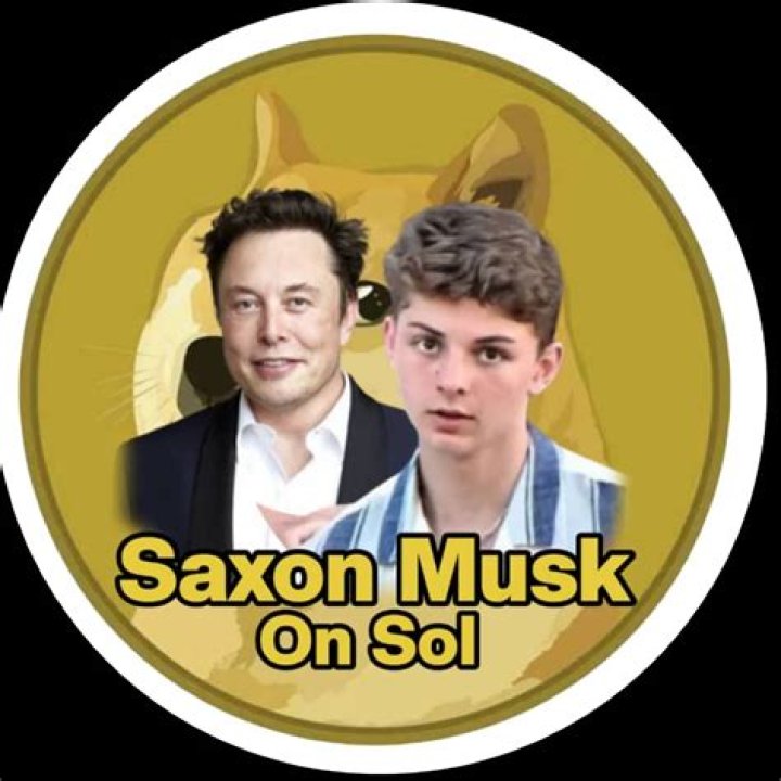 Saxon Musk's Controversial Views: A Discussion