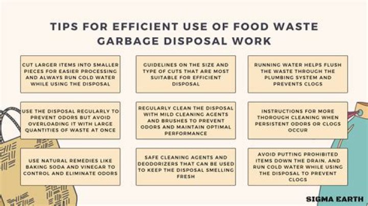 The Ultimate Guide to Garbage Disposal: Tips for Efficient Waste Management