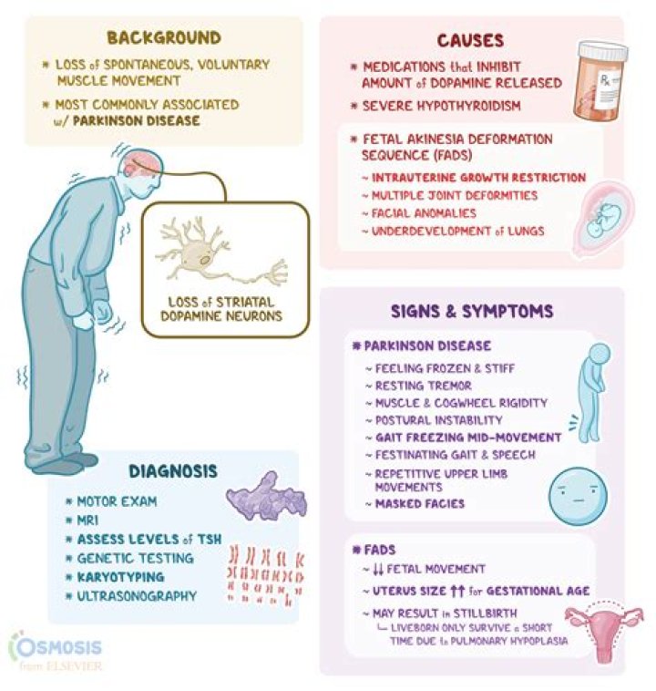 The Ultimate Guide to Sniffles: Causes, Symptoms, and Remedies