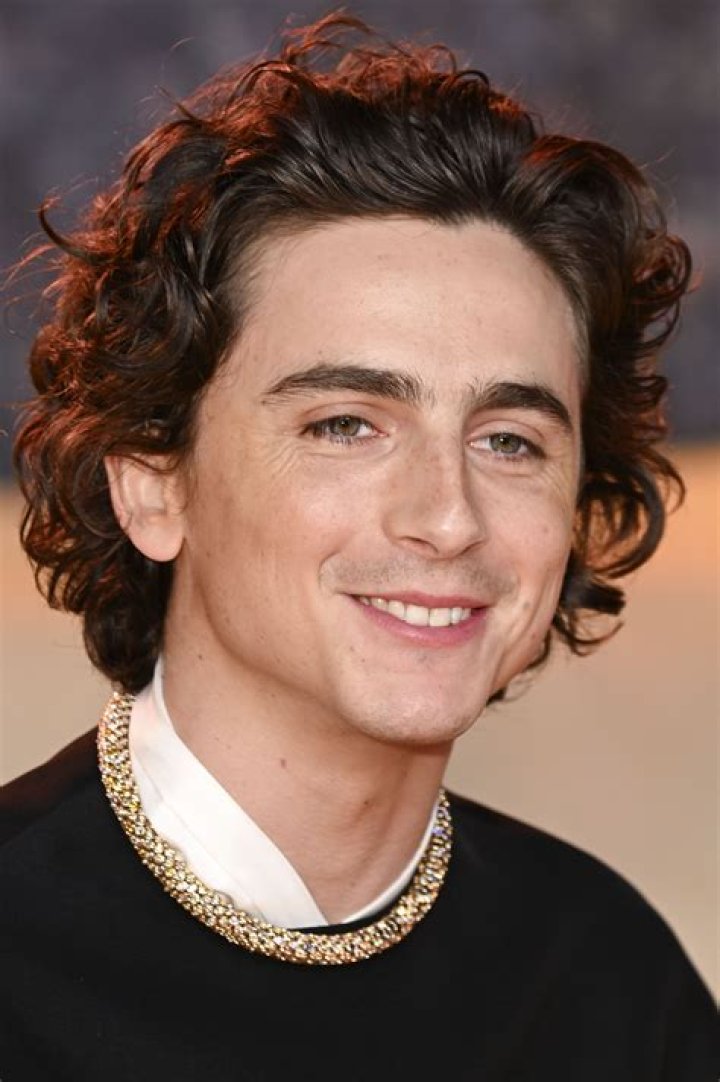 Timothee Chalamet's Journey with Baldness: The Truth Behind the Rumors