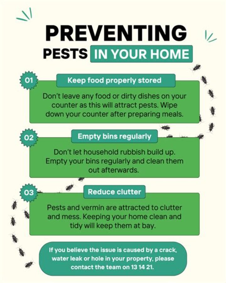 Tips for Preventing Pests from Destroying Your Home