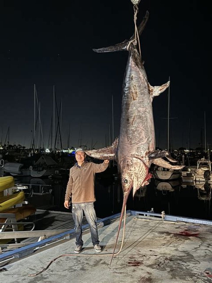Tragic End: Italian Surfer Meets Demise After Encounter with Swordfish