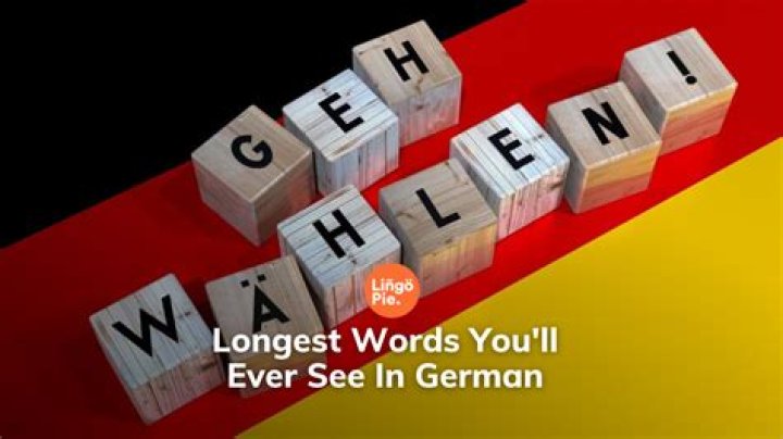 Unbelievable: The Remarkable Journey of the World's Longest German Word