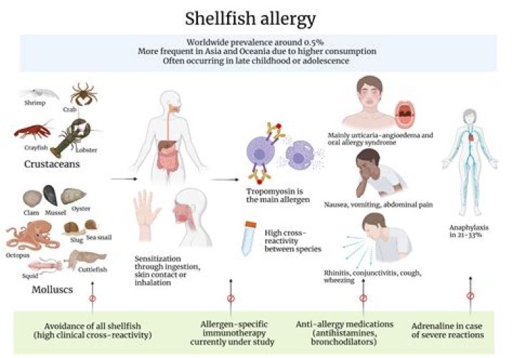 Uncovering the Symptoms of Beeswax Allergy: A Guide for the Allergic