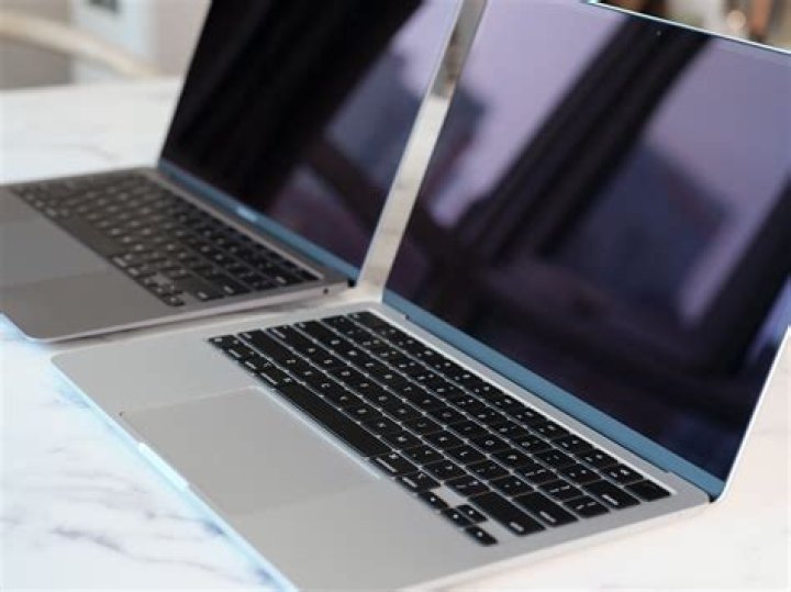 Unleashing the Power of Dogz: Your Ultimate Guide to Canine Companions