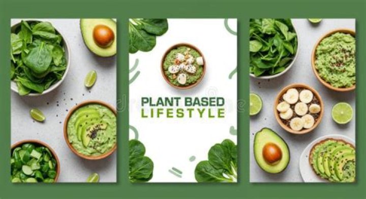 Unlocking the Secrets of Vegamoves.nl: Your Ultimate Guide to a Vibrant Vegan Lifestyle