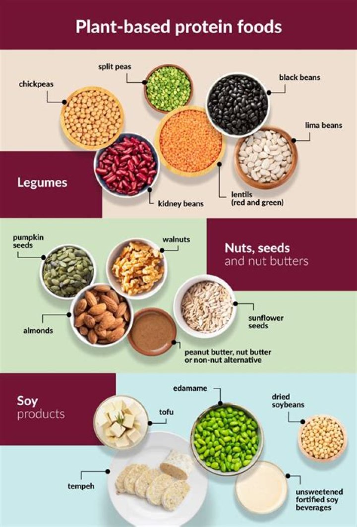 Vegamovles: Your Ultimate Guide to Plant-Based Protein and Health
