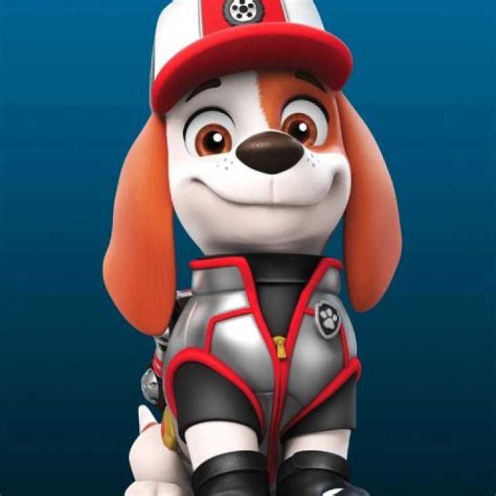 What Are the Dog's Names in Paw Patrol? A Comprehensive Guide