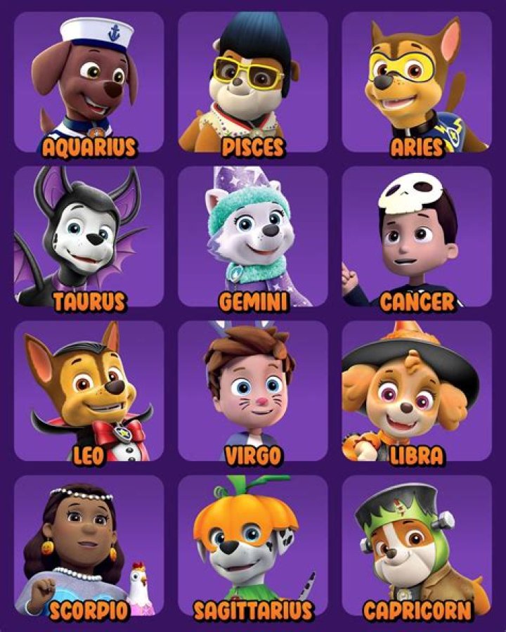 What Are the Names of the Dogs from Paw Patrol? A Comprehensive Guide for Fans