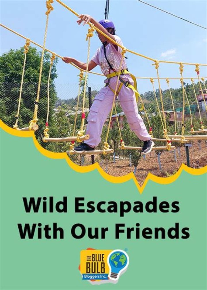 Your Guide to Unforgettable Wild Escapades