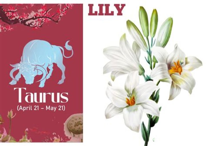 Zodiac Signs May 4: Exploring the Unique Traits of Taurus